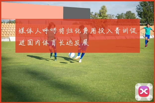 媒体人呼吁将归化费用投入青训促进国内体育长远发展