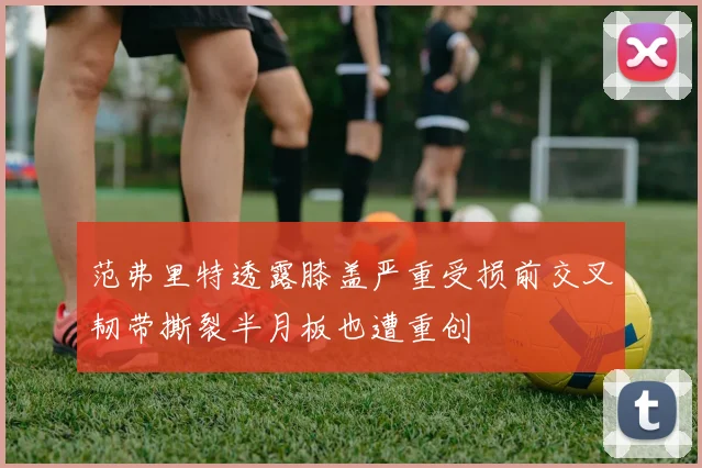 范弗里特透露膝盖严重受损前交叉韧带撕裂半月板也遭重创
